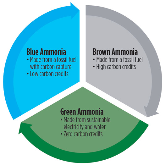 FIG. 1. Color-coded types of ammonia. 